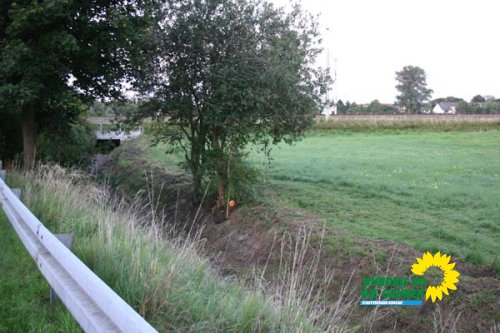 bruchgraben_10_20091231_1829909355