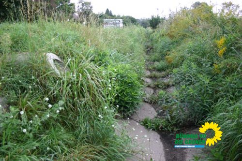 bruchgraben_1_20091231_1048049984