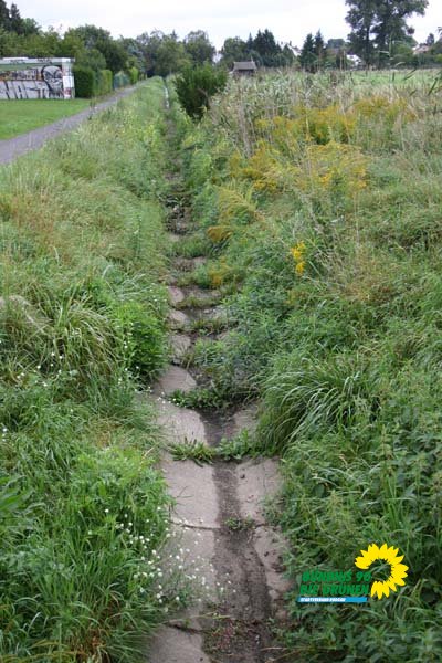 bruchgraben_2_20091231_1105406145