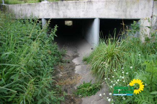 bruchgraben_3_20091231_1818277698