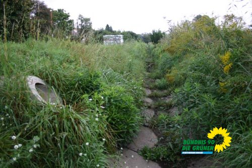 bruchgraben_4_20091231_1564313928