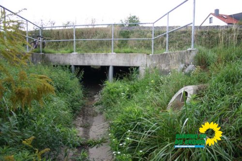 bruchgraben_5_20091231_1184202277