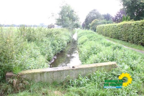 bruchgraben_6_20091231_1924476683