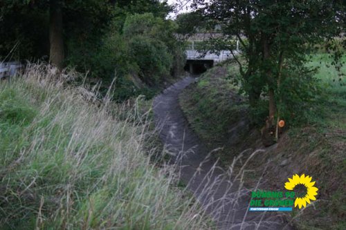 bruchgraben_8_20091231_1067095220