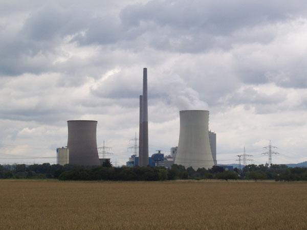 Grüne Sommeraktionen