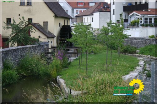 rodau_in_muehlheim_13_20110725_1942539244