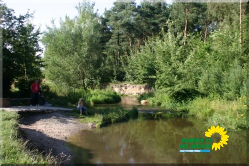 rodau_6_20091231_1503768484