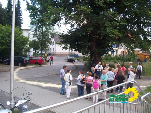 flatterulme_1_20091231_2072933682