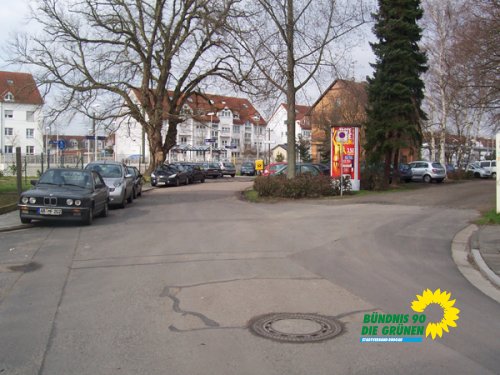 flatterulme_2_20091231_1331415138
