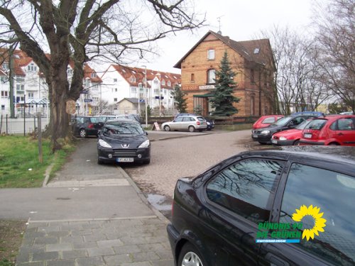 flatterulme_3_20091231_1458344536