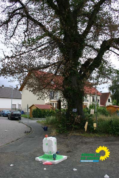 flatterulme_4_20091231_1703672359