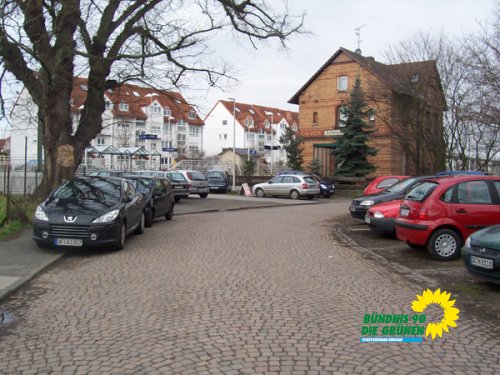flatterulme_4_20091231_1796392947