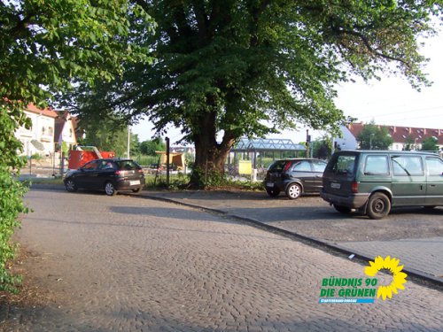 flatterulme_5_20091231_1038548491