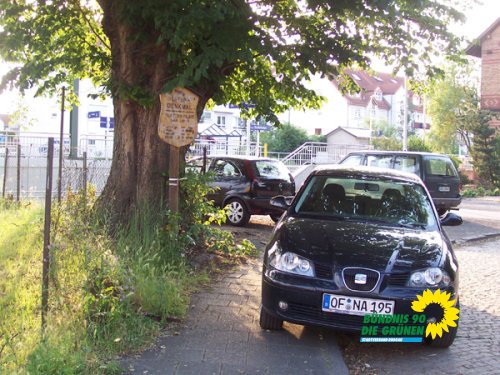 flatterulme_6_20091231_1866834824