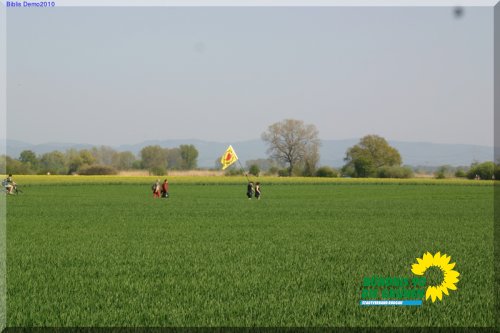 demo_2010_38_20111023_1764049314