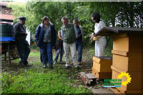 bienen_10_20110725_1091019190
