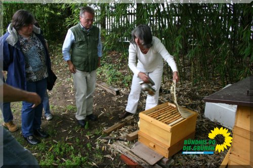 bienen_11_20110725_1021471692