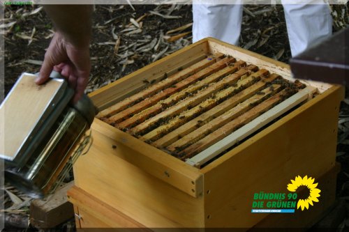 bienen_12_20110725_1738510187