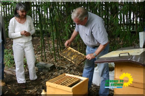 bienen_13_20110725_1824321632