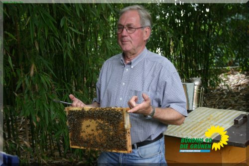 bienen_15_20110725_1641648525