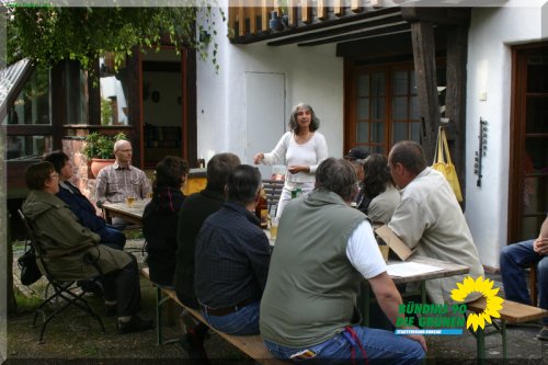 bienen_3_20110725_2049648103