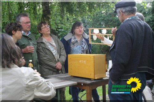 bienen_4_20110725_1180371709