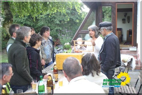 bienen_5_20110725_1432819787