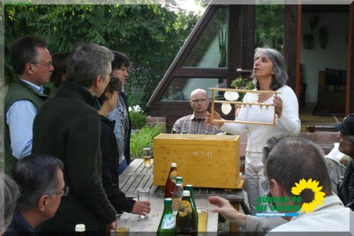 bienen_6_20110725_1154398508