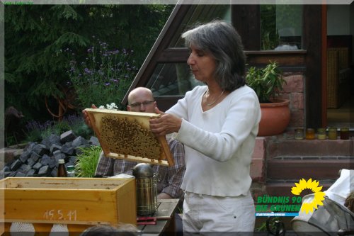 bienen_7_20110725_2048406881
