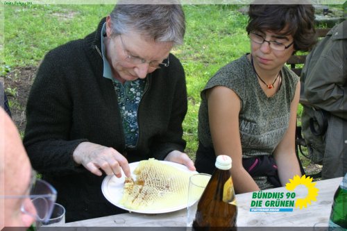 bienen_8_20110725_1144324379