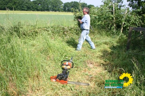 streuobstwiesenaktion_2011_11_20110727_1553153446