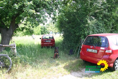 streuobstwiesenaktion_2011_16_20110727_1628167624
