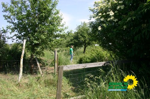 streuobstwiesenaktion_2011_18_20110727_1166800736