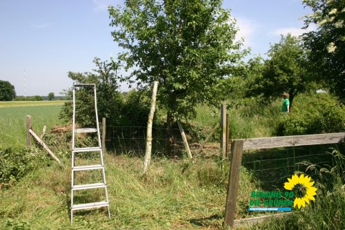 streuobstwiesenaktion_2011_19_20110727_1140486727