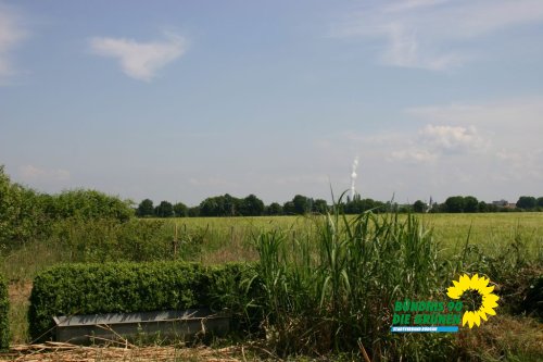streuobstwiesenaktion_2011_24_20110727_1129895055