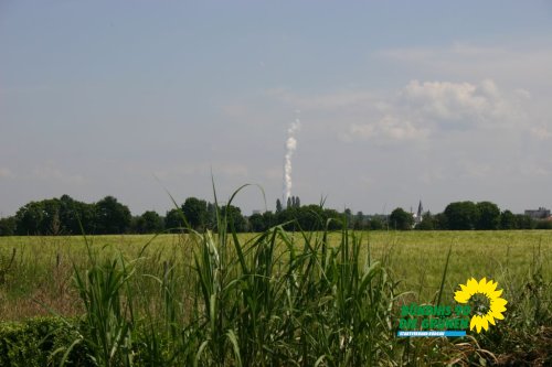 streuobstwiesenaktion_2011_25_20110727_1299745406