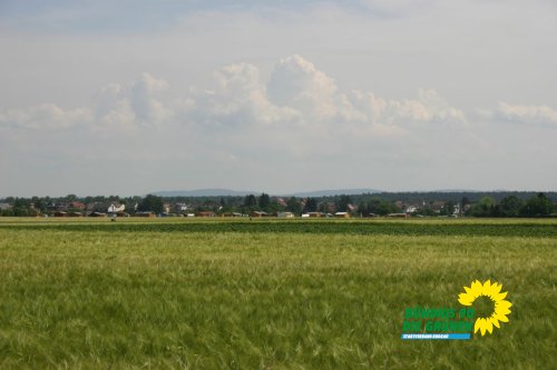 streuobstwiesenaktion_2011_26_20110727_2070818994