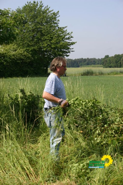 streuobstwiesenaktion_2011_2_20110727_1420872221