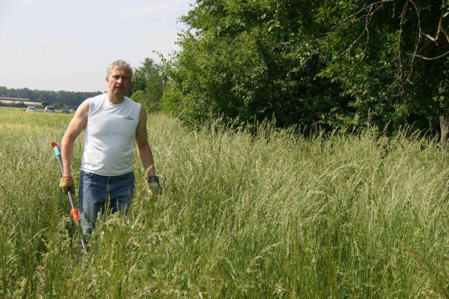 Streuobstwiesenaktion (2011)