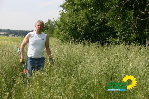streuobstwiesenaktion_2011_9_20110727_1963118907
