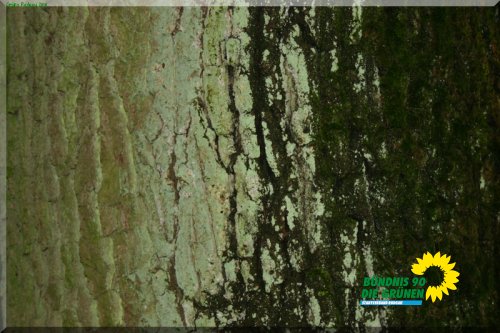 rodgauer_wald_11_20110728_1661261389