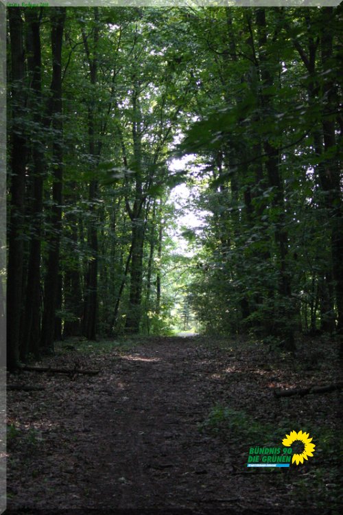 rodgauer_wald_14_20110728_1163317379