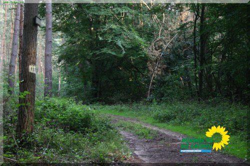 rodgauer_wald_15_20110728_1857320623