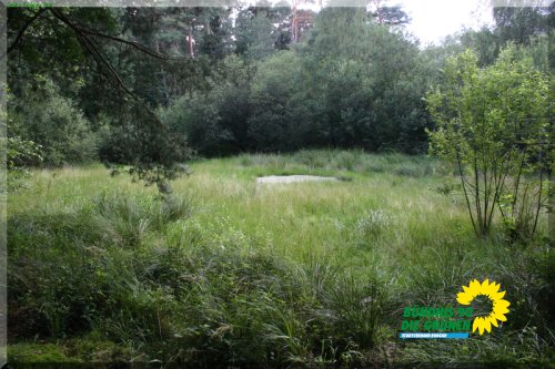 rodgauer_wald_21_20110728_2077268133
