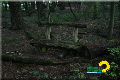 rodgauer_wald_23_20110728_1745957610