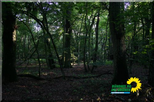 rodgauer_wald_5_20110728_2090926288