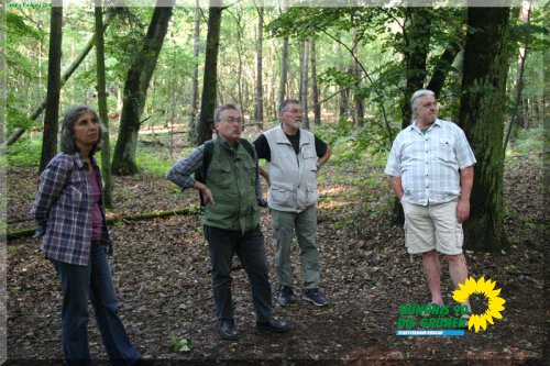 rodgauer_wald_8_20110728_1149073345