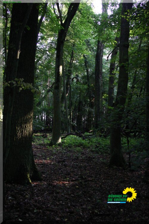 rodgauer_wald_9_20110728_1659712331