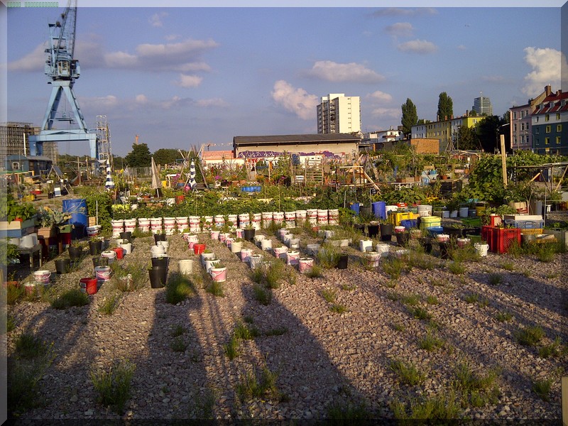 Hafen Offenbach