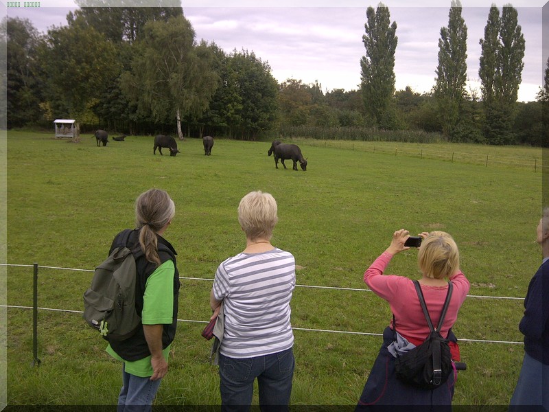 Wasserschlangenspaziergang